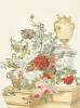 Flore pittoresque, ou recueil de fleurs et de fruits peints d'après nature, dédiée aux dames, par A. Chazal, Elève de M. Van Spaendonck.. CHAZAL ...