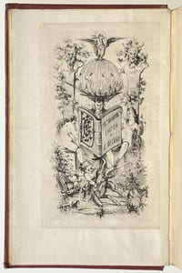 Dictionnaire érotique moderne par un professeur de langue verte. Nouvelle édition revue, corrigée, considérablement augmentée par l'auteur et enrichie de nombreuses citations.