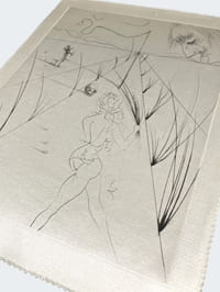 Vénus aux fourrures.