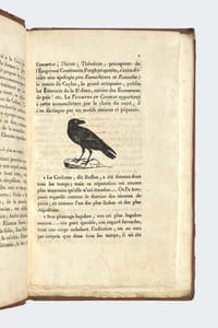 Le Triomphe du corbeau.