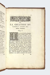 Le Triomphe du corbeau.