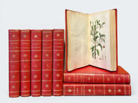 Herbier général de l'amateur, contenant la description, l'histoire, les propriétés et la culture des végétaux utiles et agréables ; dédié au Roi. 