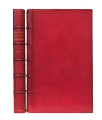 Les Avantures du baron de Foeneste. Édition nouvelle, augmentée de plusieurs remarques historiques, de l'Histoire secrète de l'auteur écrite par lui-même, & de la bibliothèque de Me. Guillaume...