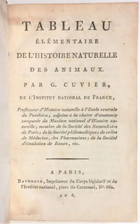 Tableau élémentaire de l'histoire naturelle des animaux.