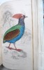 Ornithology. Game birds.. JARDINE (Sir William) 