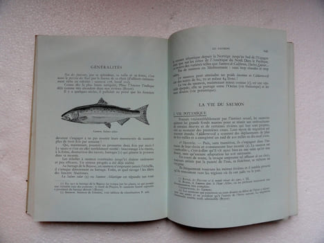 Lancer léger et poissons de sport.
. BARBELLION (Dr P.)