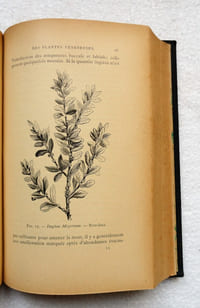 Des Plantes vénéneuses et des empoisonnements qu'elles déterminent.