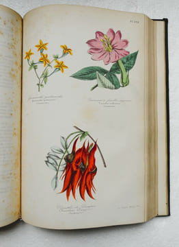 Botanique. Organographie et Taxonomie. Histoire naturelle des familles végétales et des principales espèces suivant la classification de M. Adrien de ...
