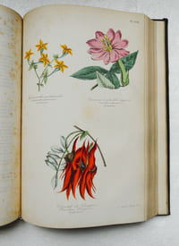 Botanique. Organographie et Taxonomie. Histoire naturelle des familles végétales et des principales espèces suivant la classification de M. Adrien de Jussieu.