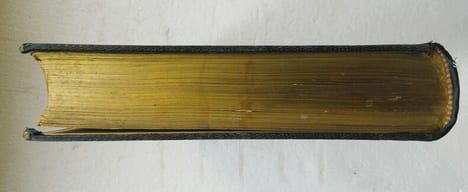 Botanique. Organographie et Taxonomie. Histoire naturelle des familles végétales et des principales espèces suivant la classification de M. Adrien de ...