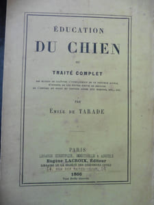 Education du chien