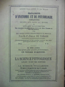 Education du chien
