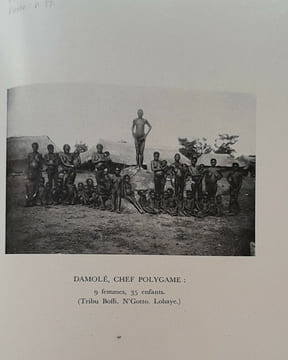 Satyres illustrées de l'Afrique noire. Docteur Gaston MURAZ