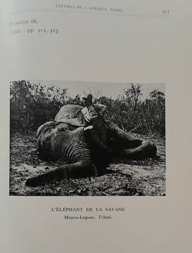 Satyres illustrées de l'Afrique noire. Docteur Gaston MURAZ