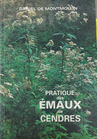 Pratique des émaux de cendres


    