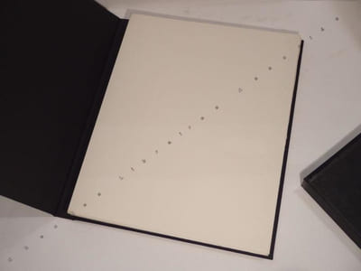 Histoire dun fou