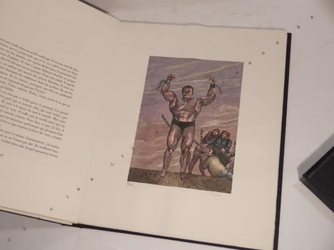 Histoire dun fou. BOVE (Emmanuel), TOPOR (Roland)