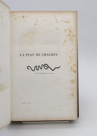 La Peau de chagrin. Etudes sociales