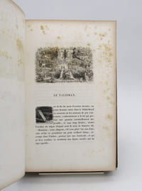 La Peau de chagrin. Etudes sociales