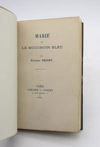 Marie ou Le Mouchoir bleu