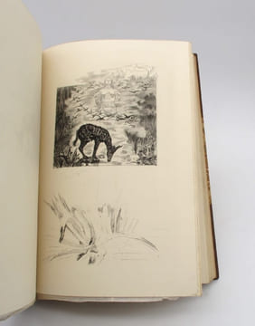 Poèmes barbares. LECONTE DE LISLE, FREIDA (Raphaël), PENNEQUIN (Edmond)