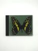 Butterfly (Flip-book). HIRST (Damien)
