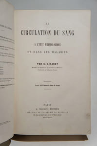 La circulation du sang à l'état physiologique et dans les maladies