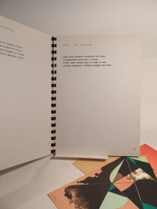 Suites d'envols. Versione italiana di Fausta Squatriti e Anna Rabolini. Illustrazione di Ken Bushnell.