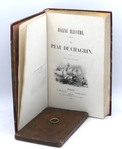 La Peau de chagrin.