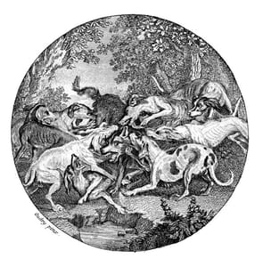 Chasse.