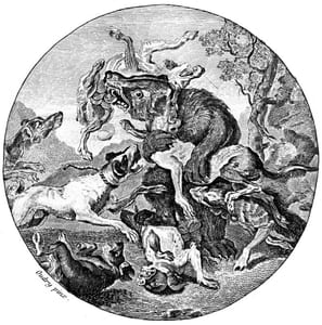 Chasse.