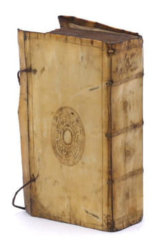 Les XXIIII livres de l’Iliade d’Homère traduicts du grec en vers françois les XI premiers par M. Hugues Salel (...) et les XIII derniers par Amadis ...