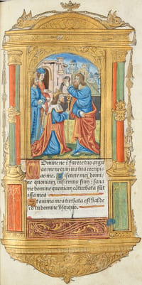 Heures de nostre Dame a lusaige de Rome tout au long sans rien requerir.