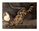 Le Roman de Renard.. GENEVOIX Maurice. 